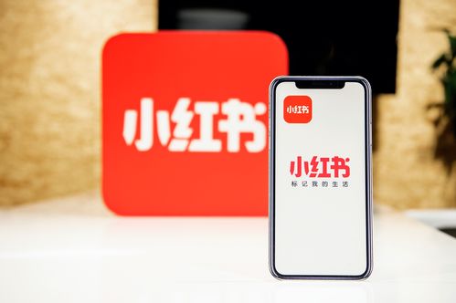 小紅書創(chuàng)作者中心上線，為優(yōu)質(zhì)創(chuàng)作者帶來(lái)專業(yè)成長(zhǎng)新機(jī)遇